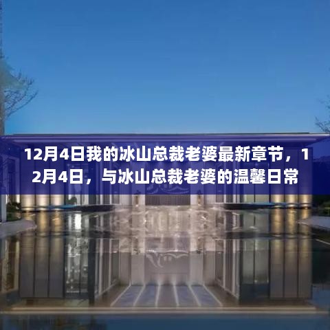 12月4日，与冰山总裁老婆的甜蜜日常最新章节