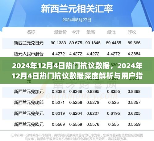 2024年12月4日热门抗议数据深度解析与用户指南