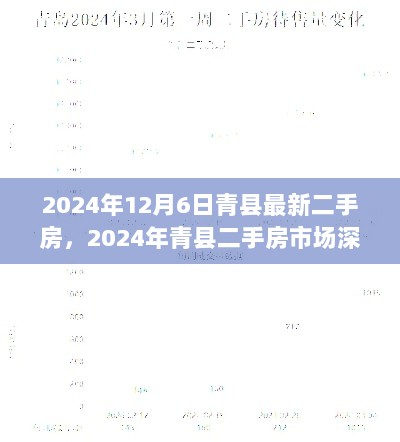 2024年青县12月6日二手房市场深度解析及最新房源购房指南