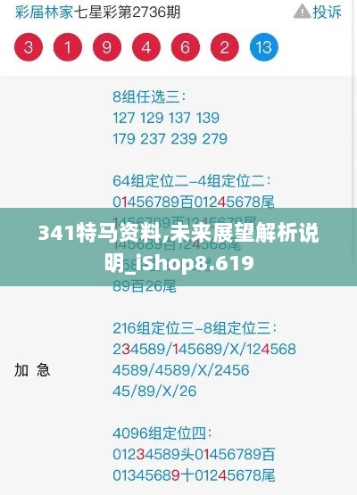 341特马资料,未来展望解析说明_iShop8.619