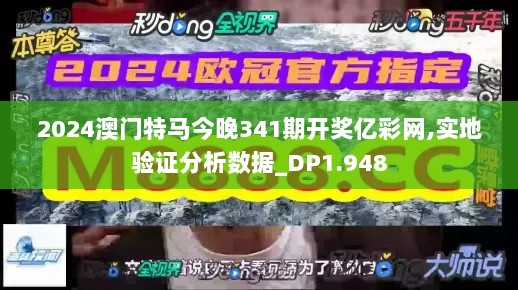 2024澳门特马今晚341期开奖亿彩网,实地验证分析数据_DP1.948