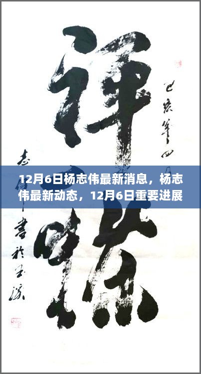 杨志伟最新动态及12月6日重要进展解析