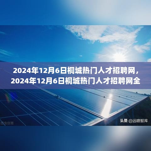 2024年12月6日桐城热门人才招聘网全面评测与介绍