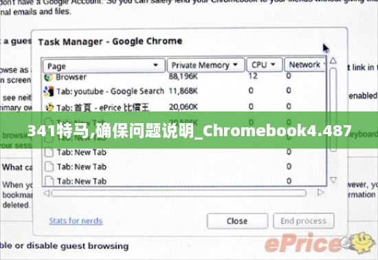 341特马,确保问题说明_Chromebook4.487