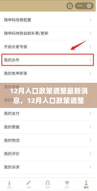 12月人口政策调整最新消息及应对策略指南