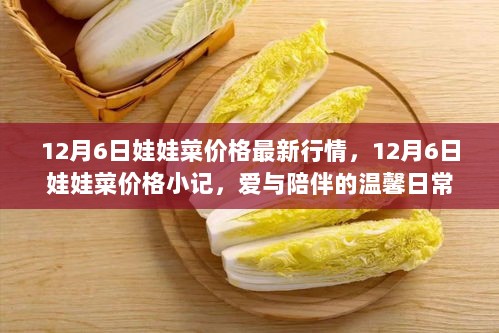 12月6日娃娃菜价格行情小记，爱与陪伴的日常中的蔬菜价格观察