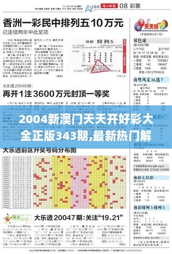 2004新澳门天天开好彩大全正版343期,最新热门解答落实_理财版8.772