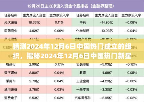 揭秘2024年12月6日中国热门新星组织，巷弄深处的特色小店隐秘之坊