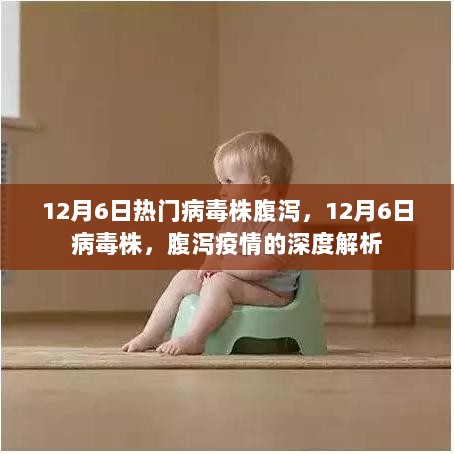 12月6日病毒株腹泻疫情深度解析