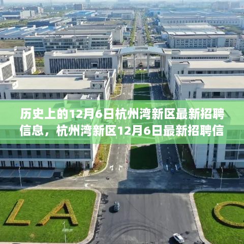 杭州湾新区12月6日招聘信息深度解析与用户体验报告