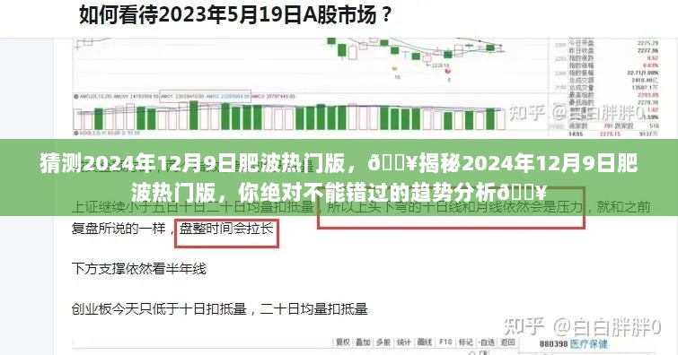 2024年12月9日肥波热门版趋势分析，不容错过的揭秘与预测