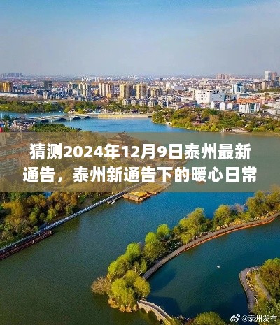 2024年泰州新通告下的暖心日常，小城的温馨故事与友情相伴