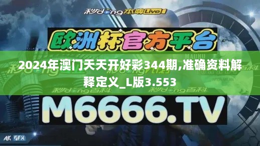 2024年澳门天天开好彩344期,准确资料解释定义_L版3.553