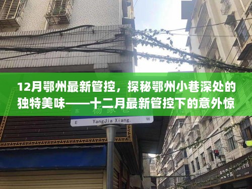 探秘鄂州小巷美味，十二月最新管控下的意外惊喜美食之旅