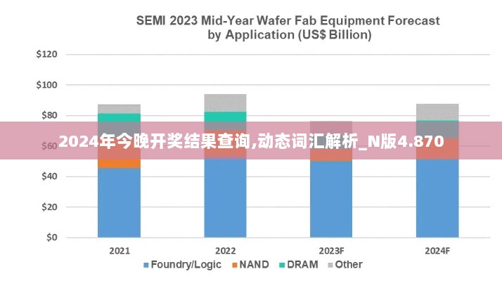 2024年今晚开奖结果查询,动态词汇解析_N版4.870