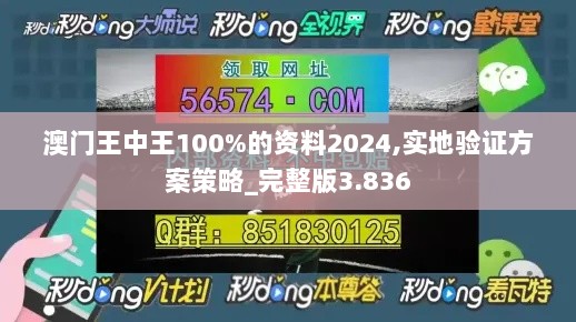 澳门王中王100%的资料2024,实地验证方案策略_完整版3.836