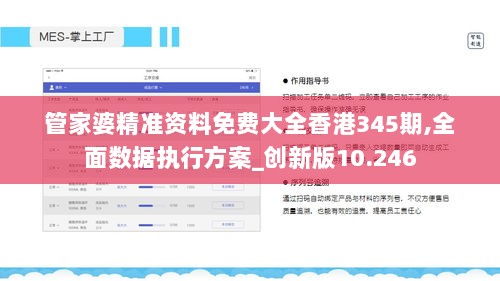 管家婆精准资料免费大全香港345期,全面数据执行方案_创新版10.246