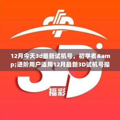 12月最新3D试机号操作指南，适合初学者与进阶用户的必备指南