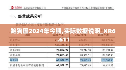 跑狗图2024年今期,实际数据说明_XR6.611