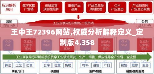 王中王72396网站,权威分析解释定义_定制版4.358