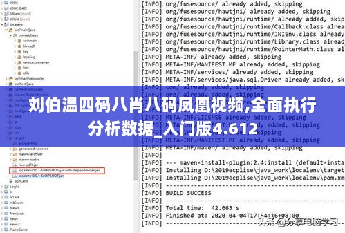 刘伯温四码八肖八码凤凰视频,全面执行分析数据_入门版4.612