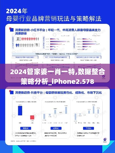 2024管家婆一肖一特,数据整合策略分析_iPhone2.578