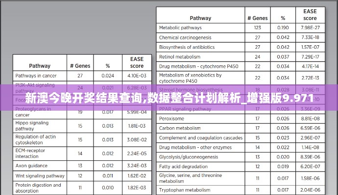 新澳今晚开奖结果查询,数据整合计划解析_增强版9.971