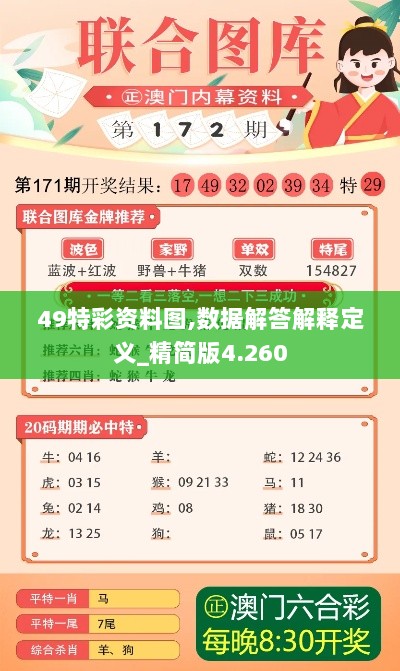 49特彩资料图,数据解答解释定义_精简版4.260