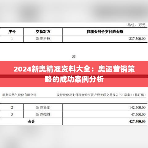 2024新奥精准资料大全：奥运营销策略的成功案例分析