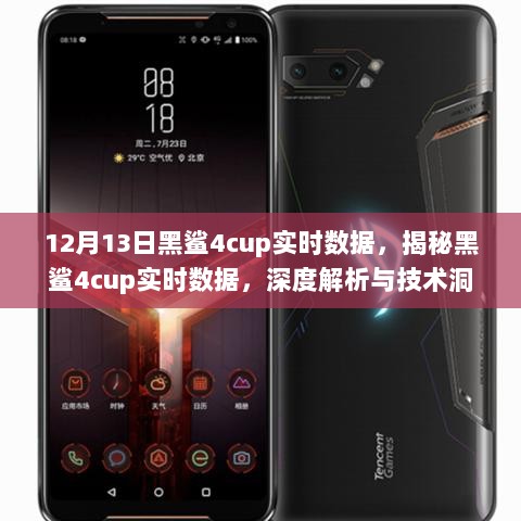 揭秘与深度解析，黑鲨4cup实时数据报告（12月13日版）