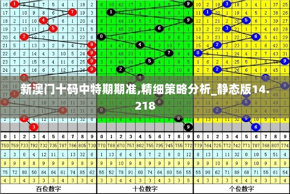 新澳门十码中特期期准,精细策略分析_静态版14.218