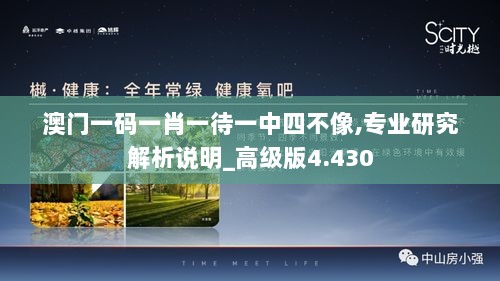 澳门一码一肖一待一中四不像,专业研究解析说明_高级版4.430