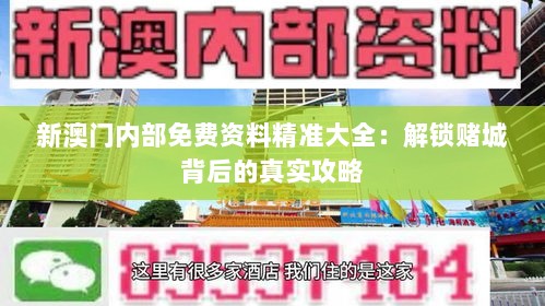 新澳门内部免费资料精准大全：解锁赌城背后的真实攻略