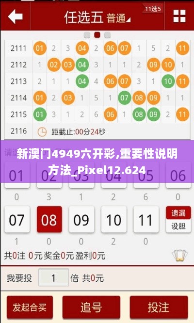 新澳门4949六开彩,重要性说明方法_Pixel12.624