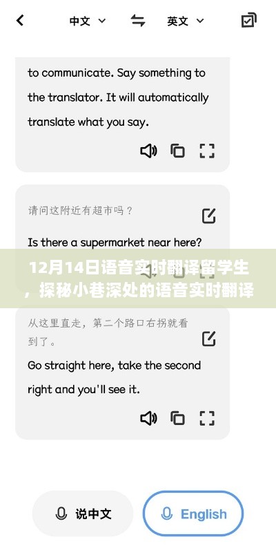 探秘小巷深处的语音实时翻译宝藏，留学生与奇妙邂逅的语音之旅——12月14日留学生语音实时翻译纪实