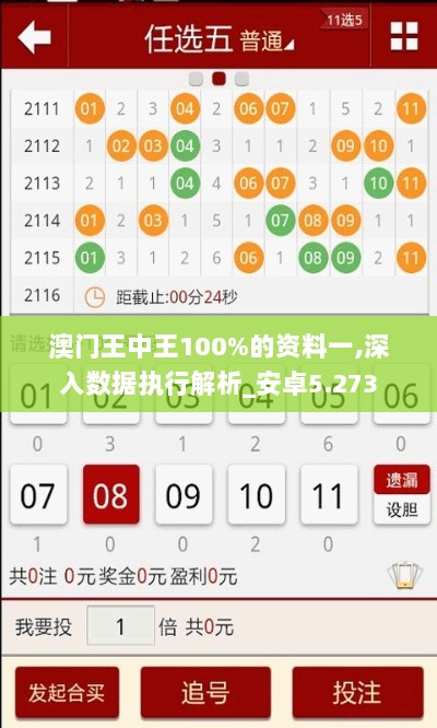 澳门王中王100%的资料一,深入数据执行解析_安卓5.273