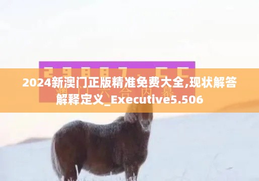 2024新澳门正版精准免费大全,现状解答解释定义_Executive5.506