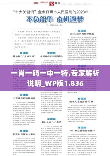 一肖一码一中一特,专家解析说明_WP版1.836