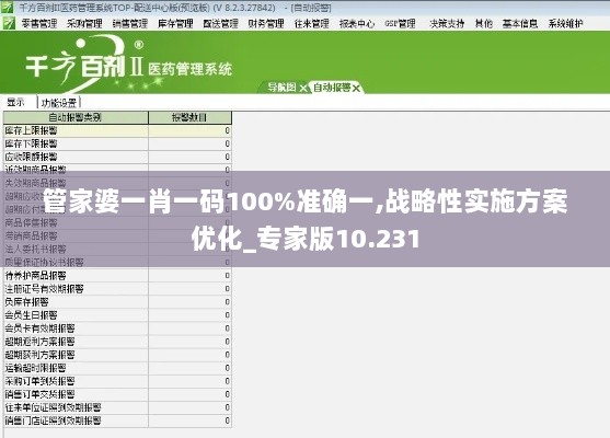 管家婆一肖一码100%准确一,战略性实施方案优化_专家版10.231