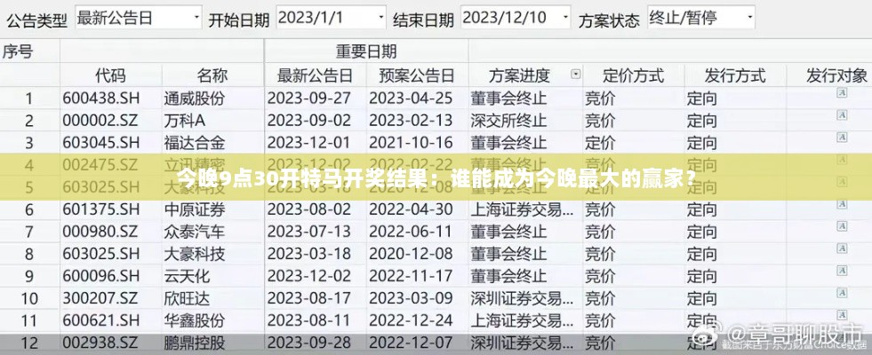 今晚9点30开特马开奖结果：谁能成为今晚最大的赢家？