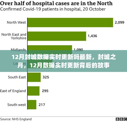 封城之月，揭秘12月数据实时更新的背后故事