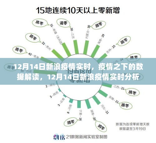 新浪疫情实时解读，疫情数据深度剖析与趋势分析