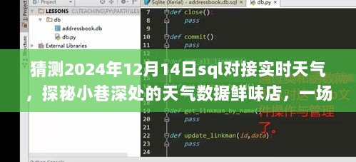SQL与实时天气的美味对接之旅，探秘小巷深处的天气数据鲜味店，2024年12月14日展望