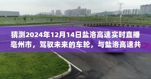 驾驭未来的车轮，盐洛高速亳州实时直播之旅——2024年12月14日纪实标题