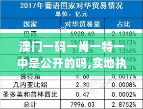 澳门一码一肖一特一中是公开的吗,实地执行考察数据_战斗版2.598