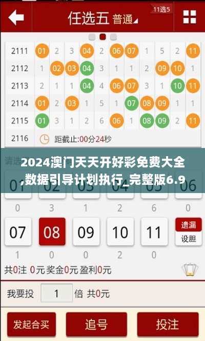 2024澳门天天开好彩免费大全,数据引导计划执行_完整版6.933