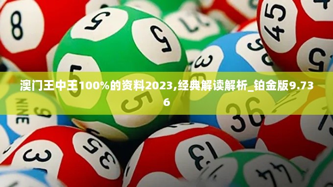 澳门王中王100%的资料2023,经典解读解析_铂金版9.736