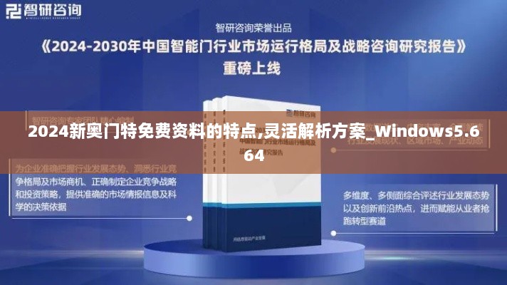 2024新奥门特免费资料的特点,灵活解析方案_Windows5.664