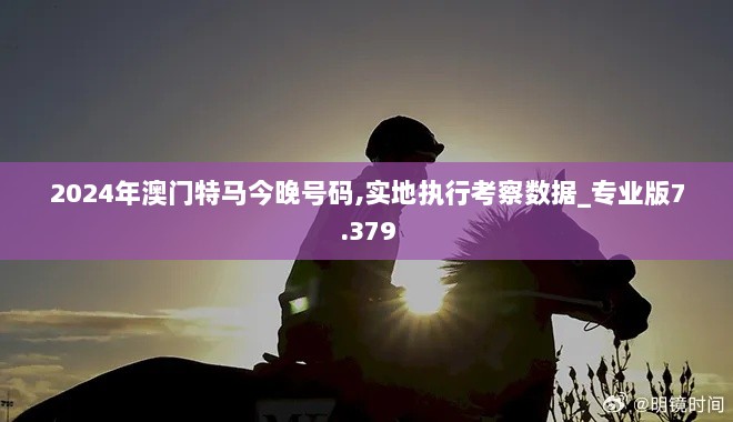 2024年澳门特马今晚号码,实地执行考察数据_专业版7.379