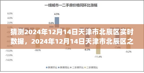 揭秘天津北辰区，探寻自然秘密，拥抱心灵宁静的旅程预测报告（2024年12月14日）